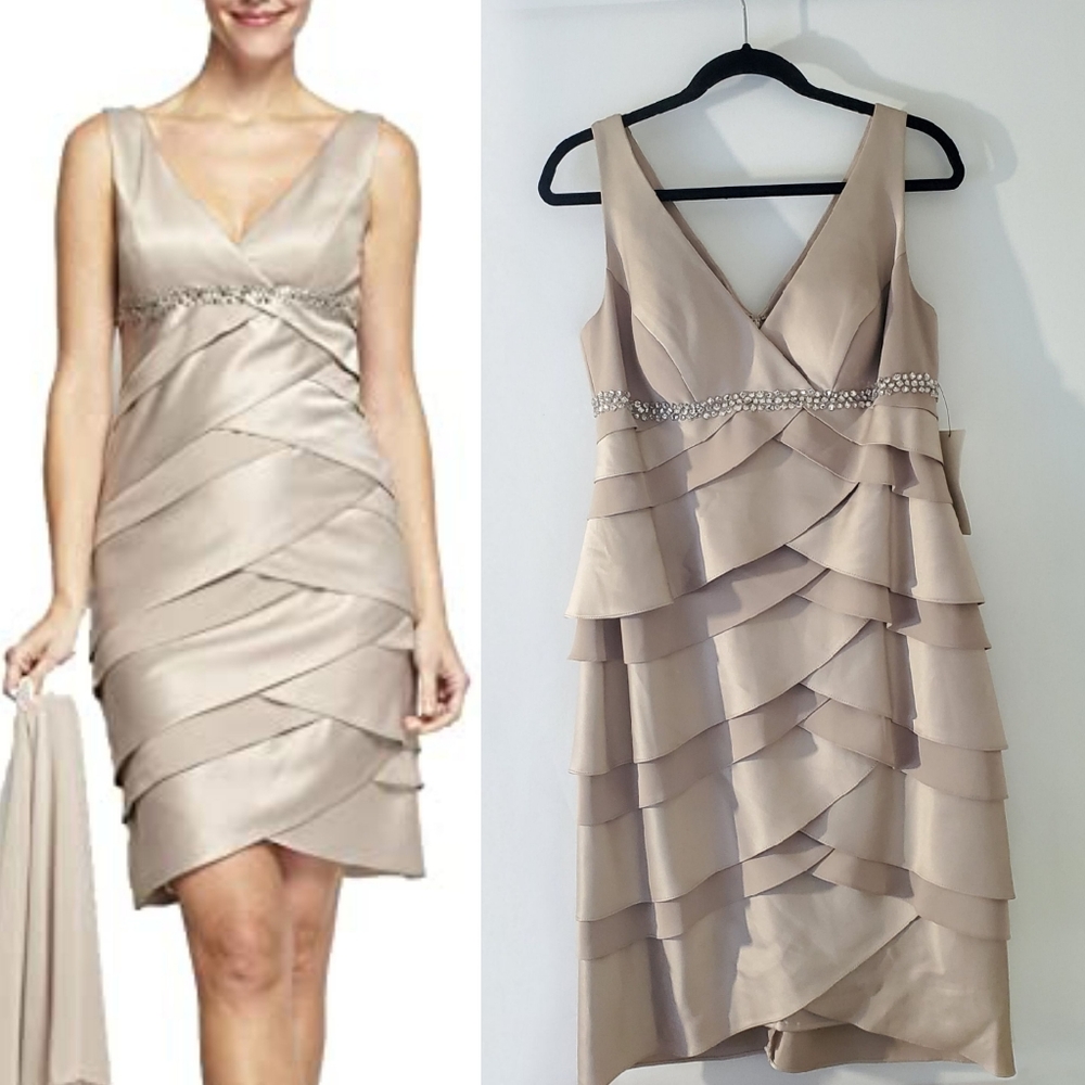 Alex evenings dress
